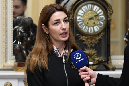 Bakıda “De Bur Sarayının kaminləri” layihəsinə həsr olunmuş mətbuat konfransı keçirilib - FOTOLAR