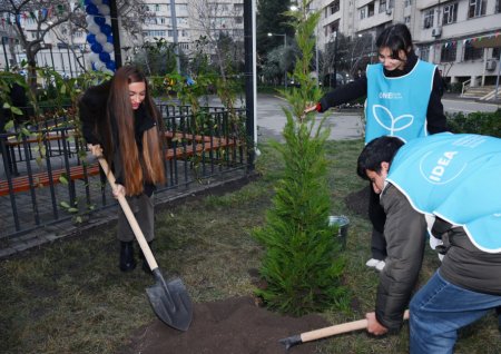 Bakıda növbəti yenilənmiş həyətlər istifadəyə verilib - FOTOLAR