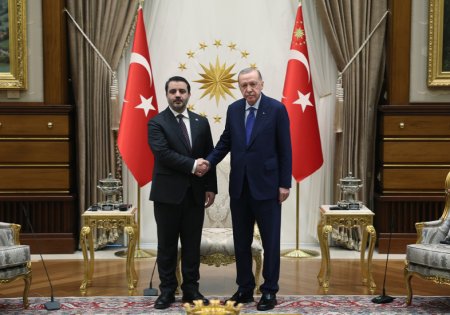 Türkiyə Prezidenti Suriyanın yeni xarici işlər nazirini qəbul edib - FOTO
