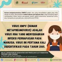 VİRUS İNFEKSİYASINA YOLUXMA KÜTLƏVİLƏŞİB VƏ YA METAPNEVMOVİRUS HAQQINDA HƏQİQƏTLƏR - FOTO