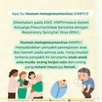 VİRUS İNFEKSİYASINA YOLUXMA KÜTLƏVİLƏŞİB VƏ YA METAPNEVMOVİRUS HAQQINDA HƏQİQƏTLƏR - FOTO