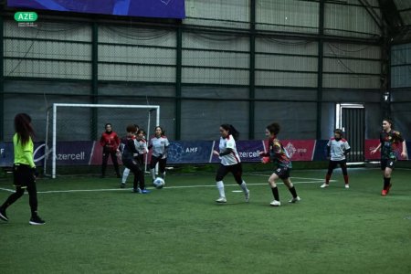 FHN-in qadın əməkdaşları dövlət qurumları arasında çempionatın qalibi olub