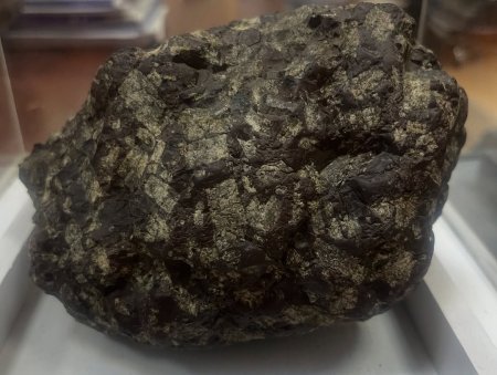 Həyətinə düşən daş meteorit imiş - Fotolar Həyətinə düşən daş meteorit imiş - Fotolar