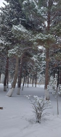 QARIN YAĞMASI İLƏ, XÜSUSƏN UŞAQLAR ARASINDA VİRUS İNFEKSİYALARI KƏSKİN ŞƏKİLDƏ AZALACAQDIR - FOTO QARIN YAĞMASI İLƏ, XÜSUSƏN UŞAQLAR ARASINDA VİRUS İNFEKSİYALARI KƏSKİN ŞƏKİLDƏ AZALACAQDIR - FOTO