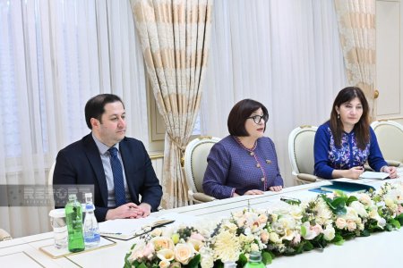 Sahibə Qafarova: Azərbaycan türk dünyasının güclənməsinə xüsusi önəm verir