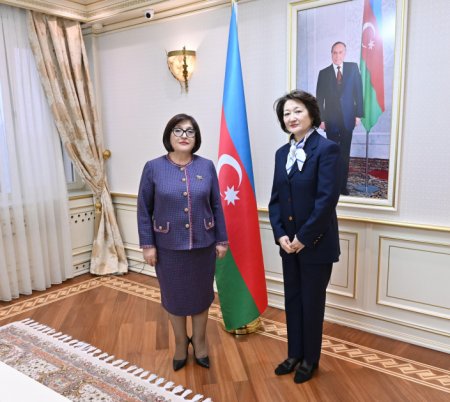 Milli Məclisin sədri Türk Mədəniyyəti və İrsi Fondunun prezidenti ilə görüşüb