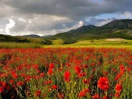 Natella Nur : BU GÜNLƏ BİZ YAŞAYAQ - FOTO