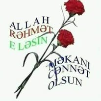 Məlahət Behbudqızı : Sən olan yeri - FOTO